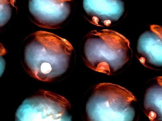 MXI 7500VR Jade Plus